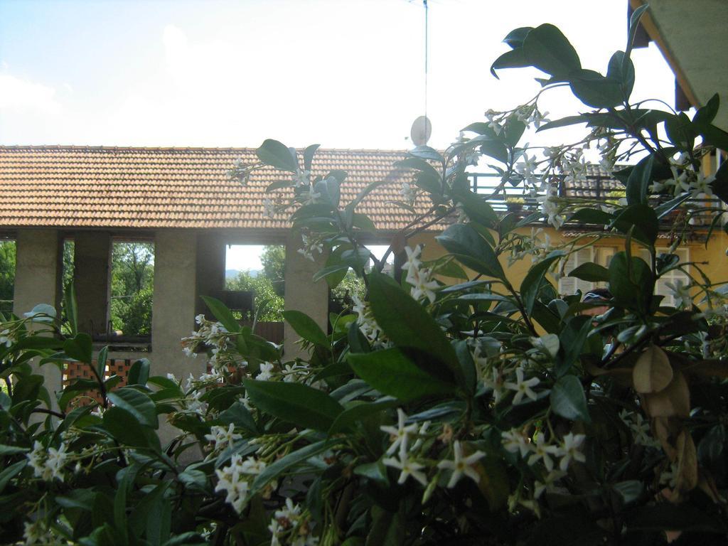Fattoria Del Pino Orta San Giulio Exterior foto
