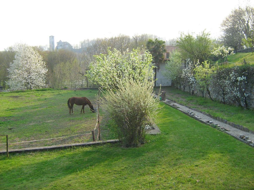 Fattoria Del Pino Orta San Giulio Exterior foto